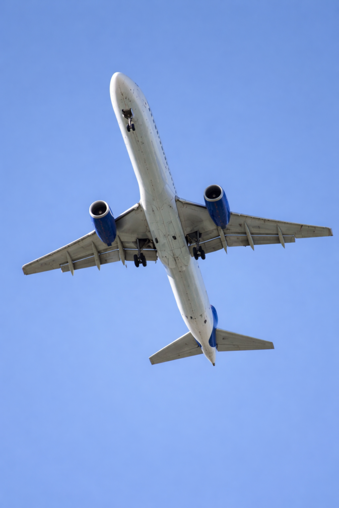 Paste this into Focus keyphrase: